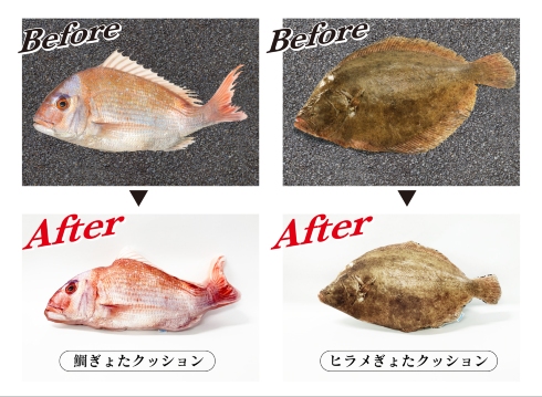 ぎょたクッション