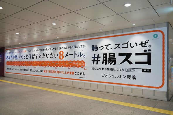 腸スゴ　ビオフェルミン製薬