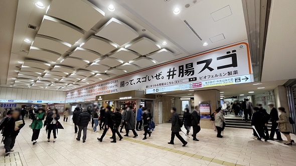 腸スゴ　ビオフェルミン製薬