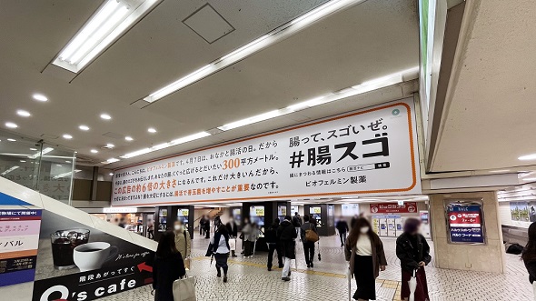 腸スゴ　ビオフェルミン製薬