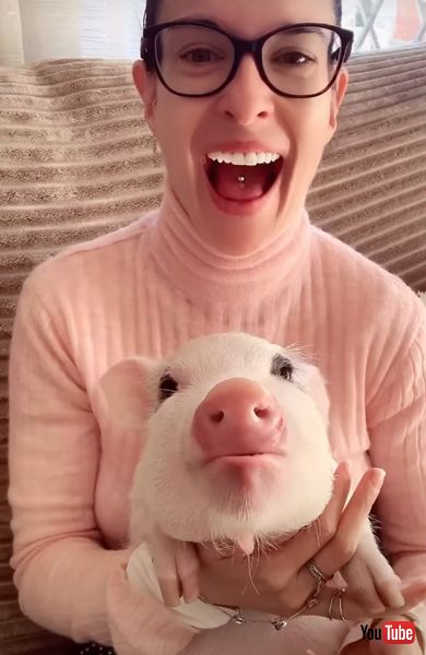 うれしそうな子豚