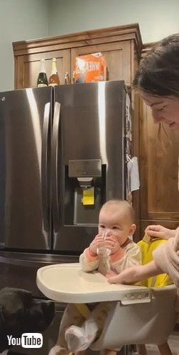 「Dog Startles Baby into Spilling Water || ViralHog」
