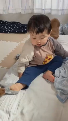 犬に靴下を譲ってあげました（別にお気に入りじゃないから）#Shorts