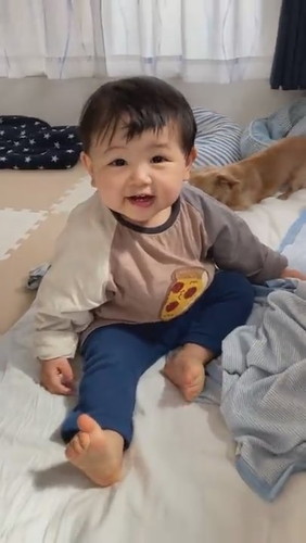 犬に靴下を譲ってあげました（別にお気に入りじゃないから）#Shorts