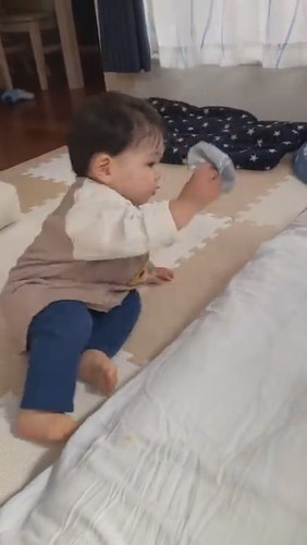 犬に靴下を譲ってあげました（別にお気に入りじゃないから）#Shorts