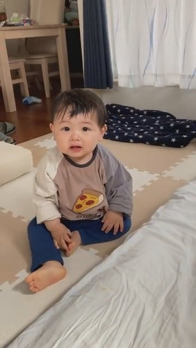 犬に靴下を譲ってあげました（別にお気に入りじゃないから）#Shorts