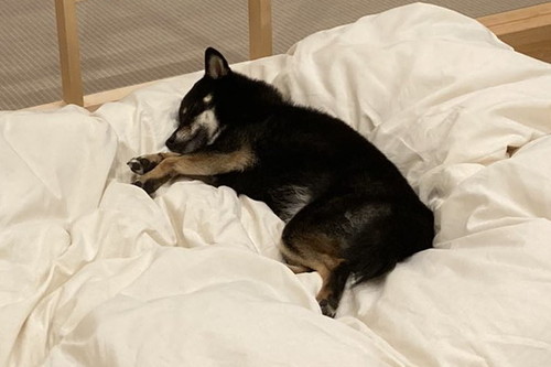 おすすめ