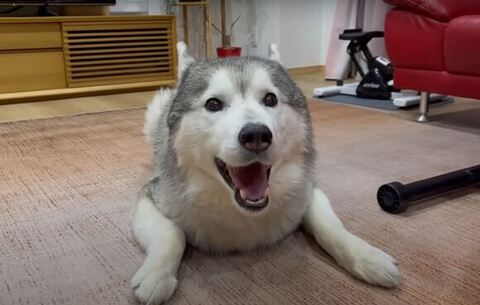 笑顔の文太くん