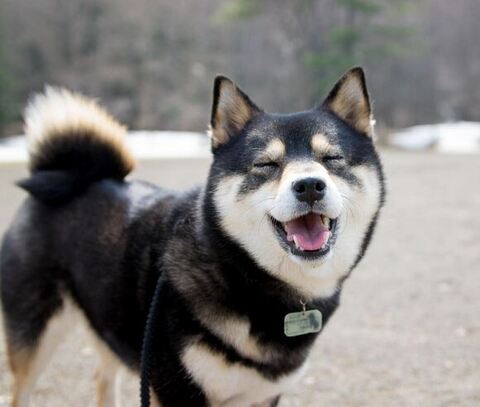 笑顔のアコちゃん