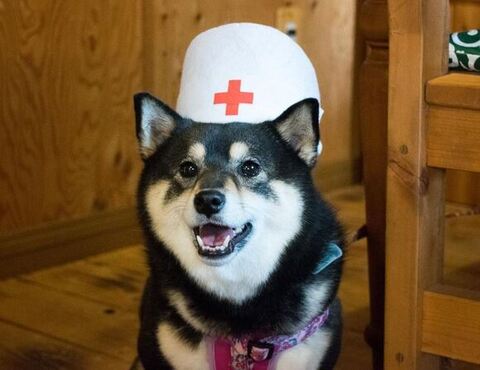 帽子をかぶったアコちゃん