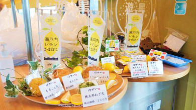 WEST EXPRESS 銀河の駅弁 銀河特製あなご和膳