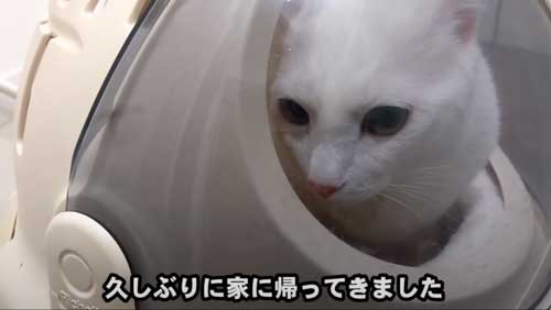 オススメ