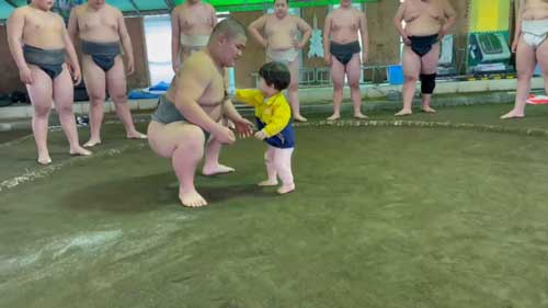 相撲 デビュー 1歳4カ月 子ども 柏力会