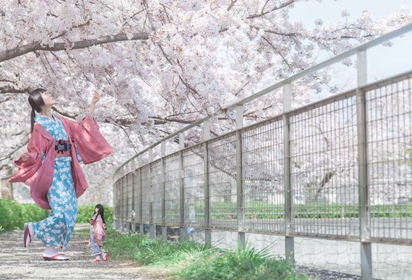 桜 ドール セルフポートレート