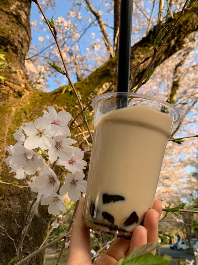 手作りタピオカミルクティ