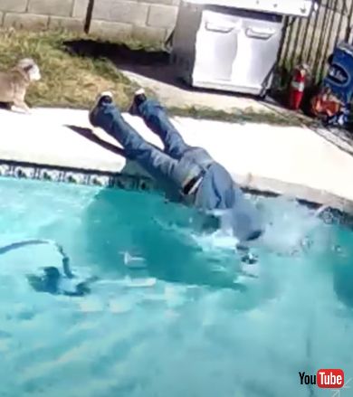 子犬を助けにきた男性