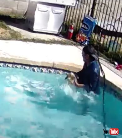 ずぶぬれの子犬と男性