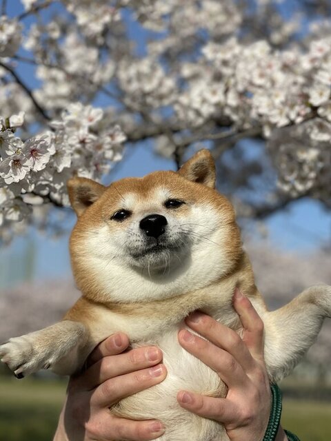 2022年の写真