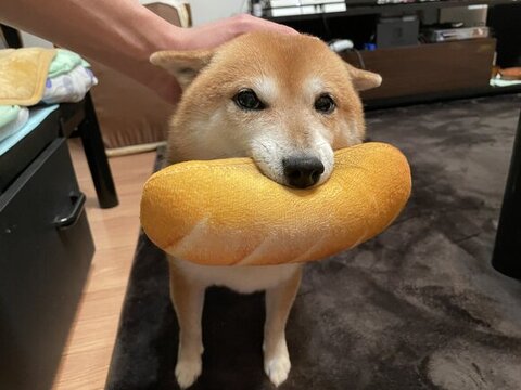 パンをくわえてるクリ丸ちゃん