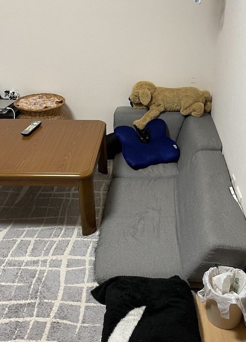 クッションで身を隠する黒猫