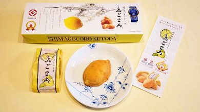 WEST EXPRESS 銀河の駅弁 銀河しまなみ物語