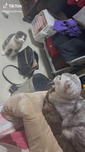 あもるちゃんとまきおちゃん