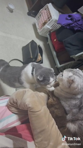 あもるちゃんとまきおちゃん