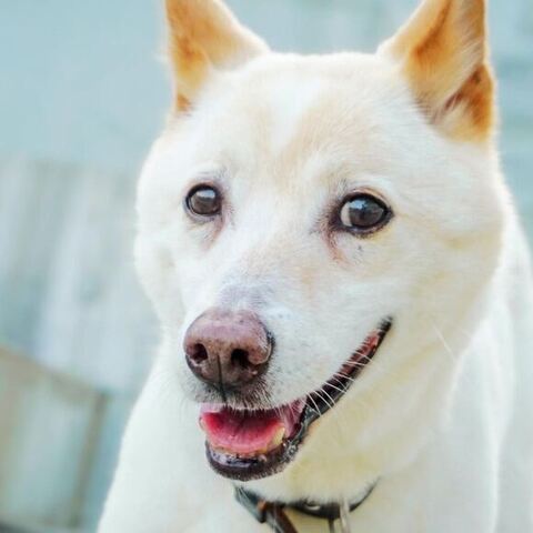 にこやかエミリちゃん