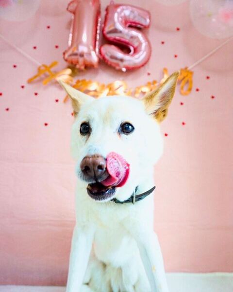 舌をだしてるエミリちゃん