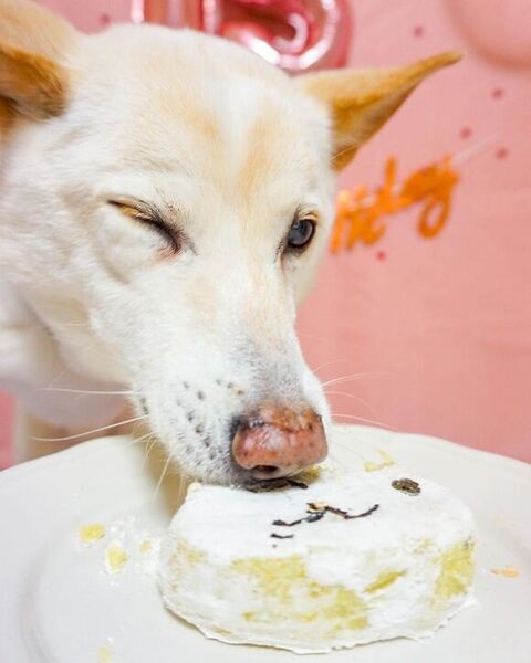 ウインクしているエミリちゃん