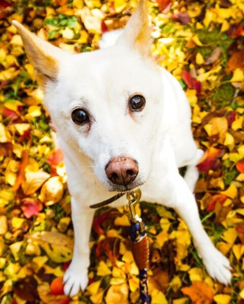 紅葉とエミリちゃん