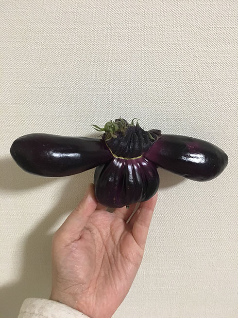 画像内テキスト