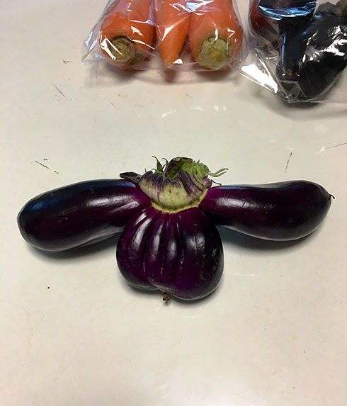 画像内テキスト