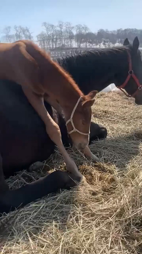 パー蔵くんアップ