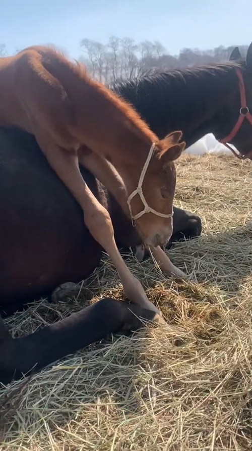 パー蔵くんもう少しアップ