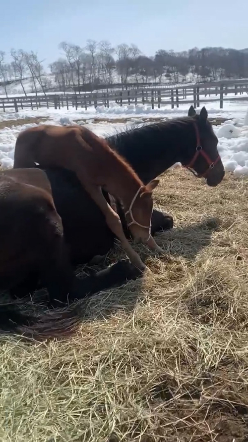 少し近づいたところ