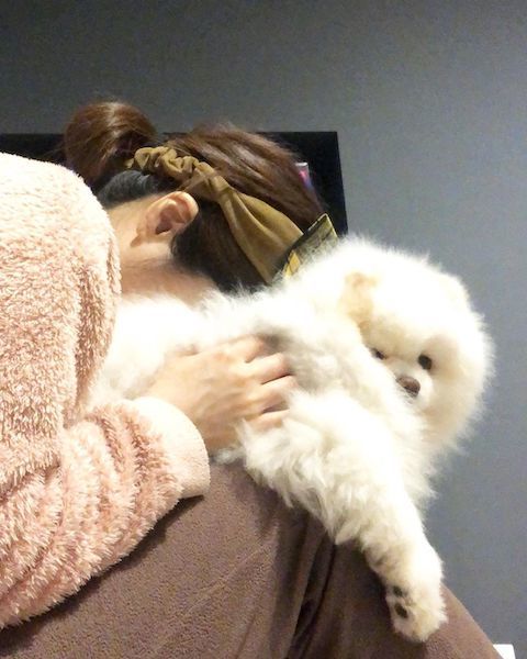 ポメラニアンから幸せ注入中