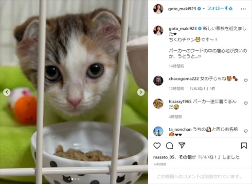 後藤真希が飼い始めた猫