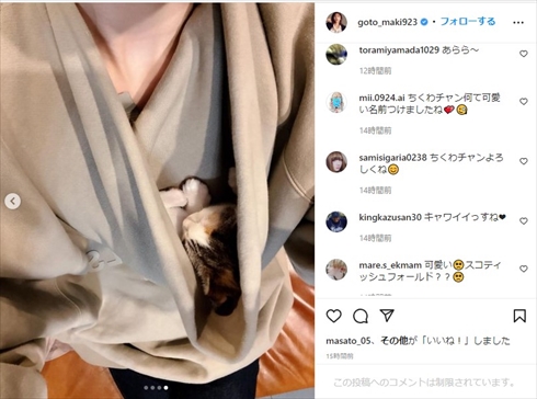 後藤真希が飼い始めた猫