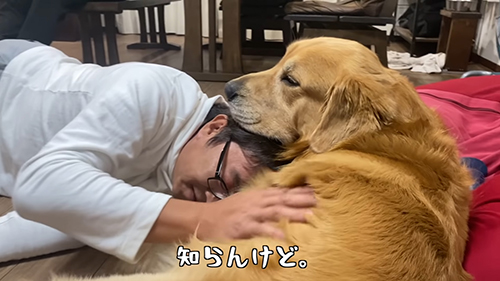 あごのせベンツくん知らんけど