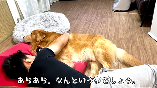 ベンツくんとスマホをいじる長男さん