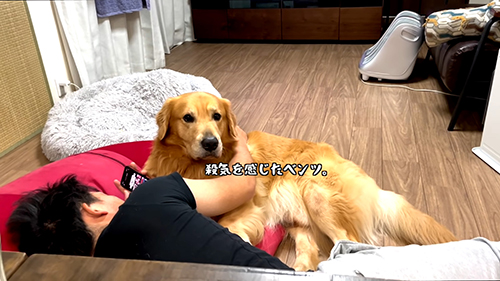 殺気を感じたベンツくん