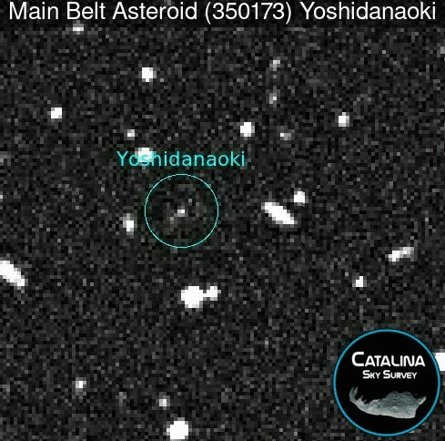 小惑星吉田直樹