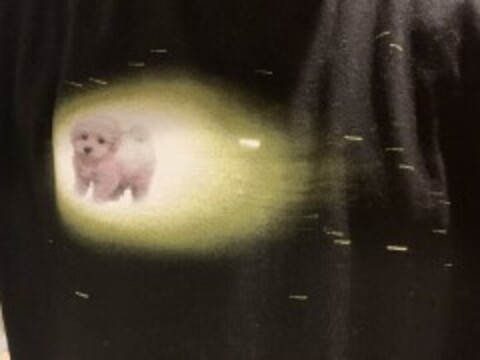 福地さんのTシャツ