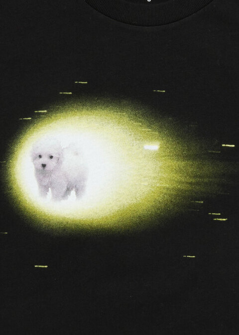 引用Tシャツアップ