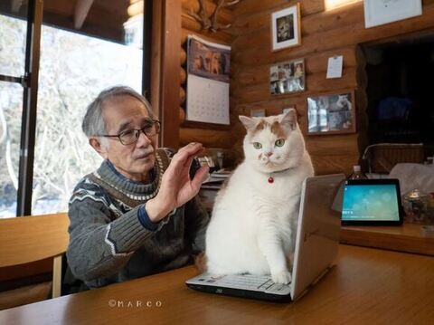 おすすめ