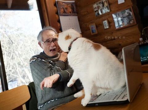 仁王立ちアップ