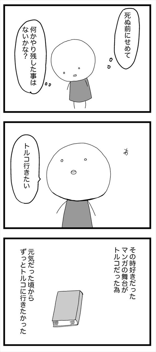 死ぬ予定だった私、トルコへ行く