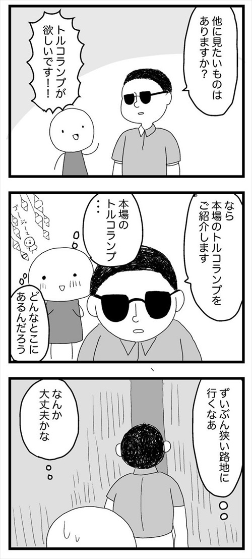 死ぬ予定だった私、トルコへ行く