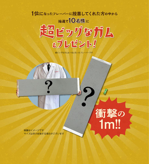 推しガム総選挙